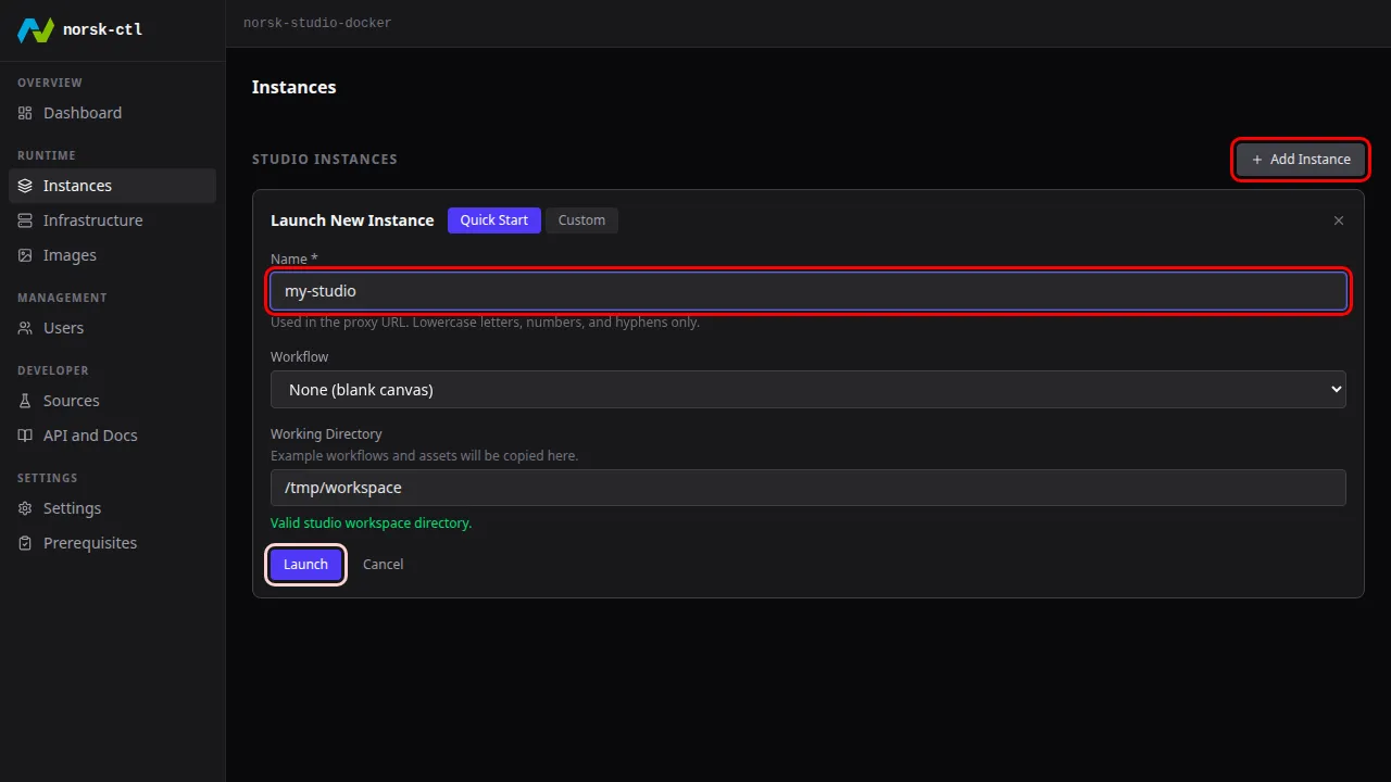 Quick Start: name the instance and launch